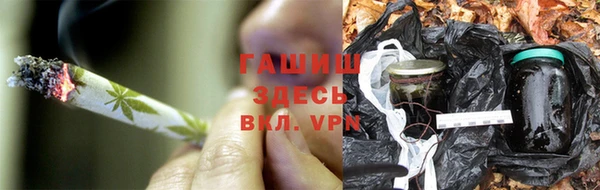 тгк Бородино