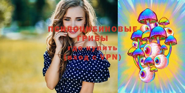 гашик Пролетарск