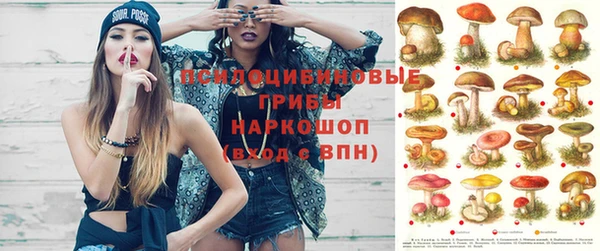 гашик Пролетарск